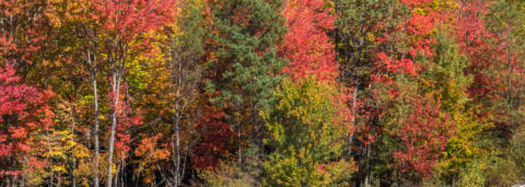 closing title company, Crystal Falls, Iron County, Ontonagon County, Ontonagon, Dickinson County, Iron Mountain, Kingsford, Baraga County, Baraga, Upper Peninsula, Michigan, U.P., MI